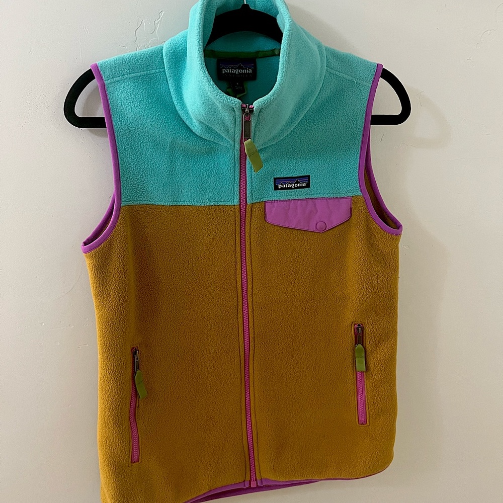 Patagonia Synchilla Vest Colorblock 
Small